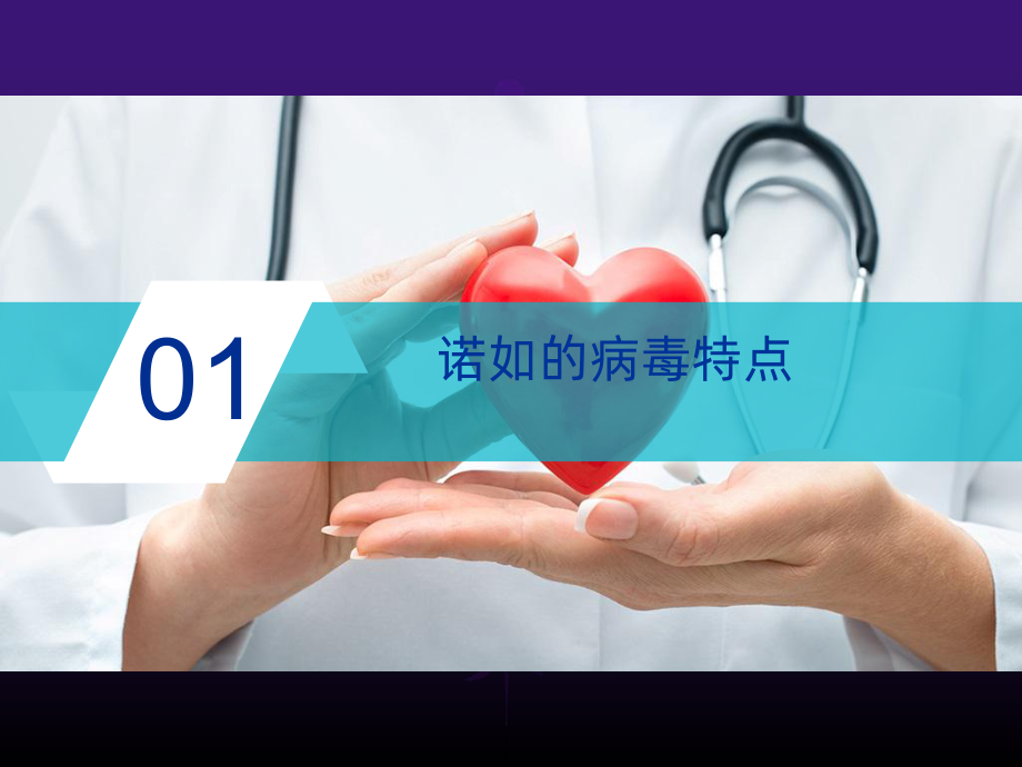 诺如病毒ppt课件.ppt_第3页