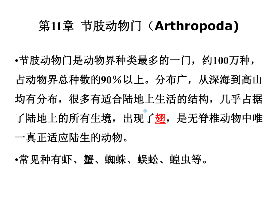 第11章节肢动物门竞赛课件.ppt_第2页