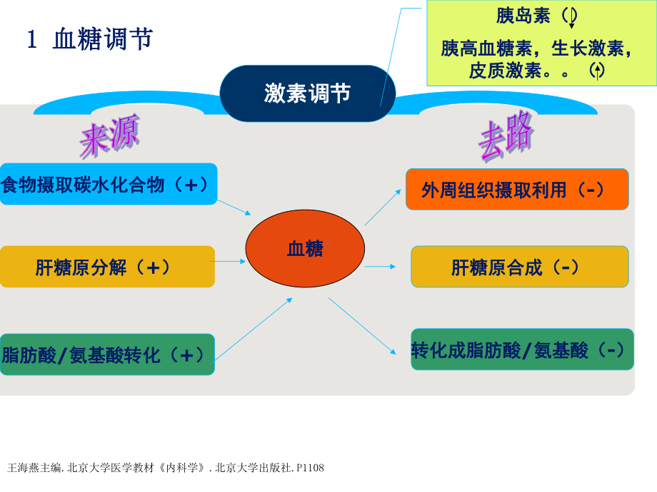 胰岛素理论知识PPT课件.ppt_第3页