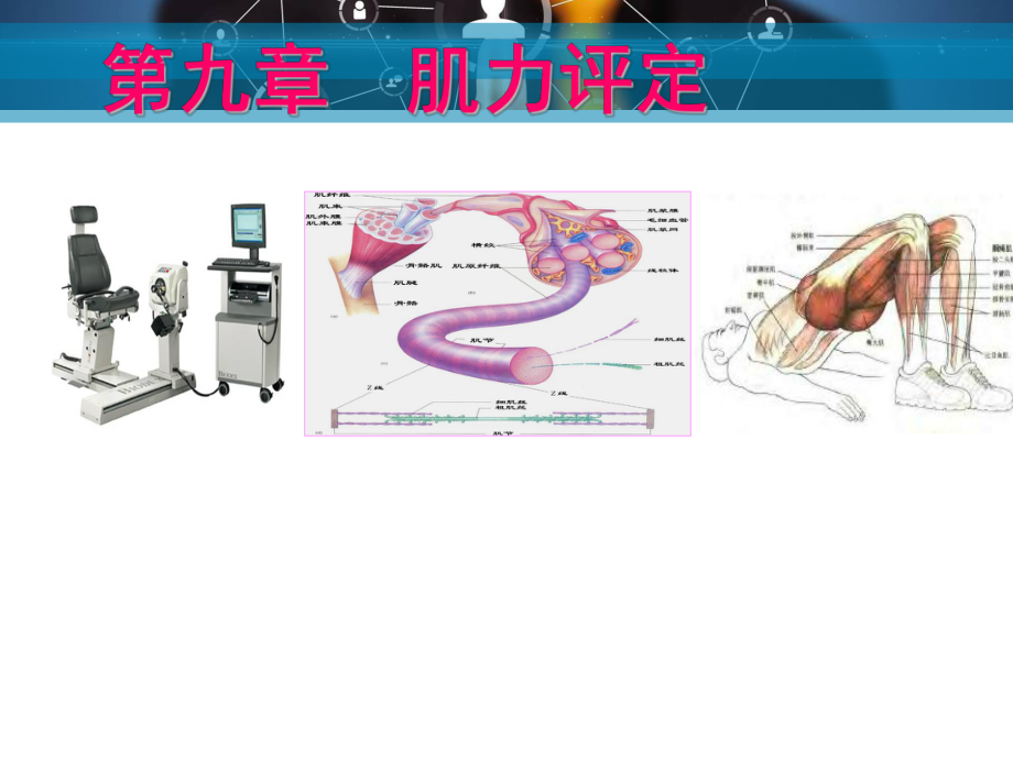 肌力的评定-ppt课件.ppt_第1页