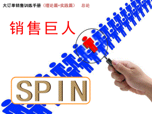 SPIN总论ppt课件.pptx