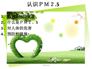 大气中的PM2.5以及对人体的危害ppt课件.ppt