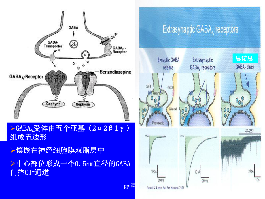 抗焦虑药-ppt课件.ppt_第3页