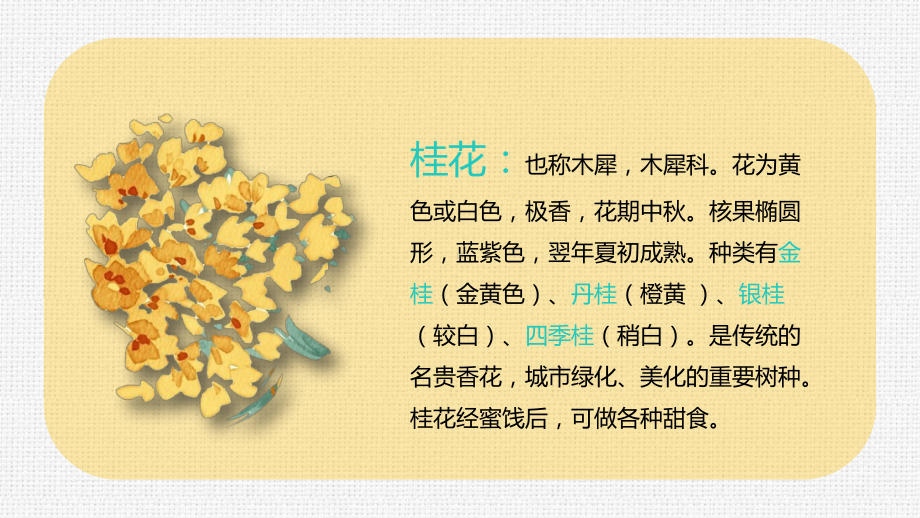 小学语文-《桂花雨》教学课件.ppt_第2页