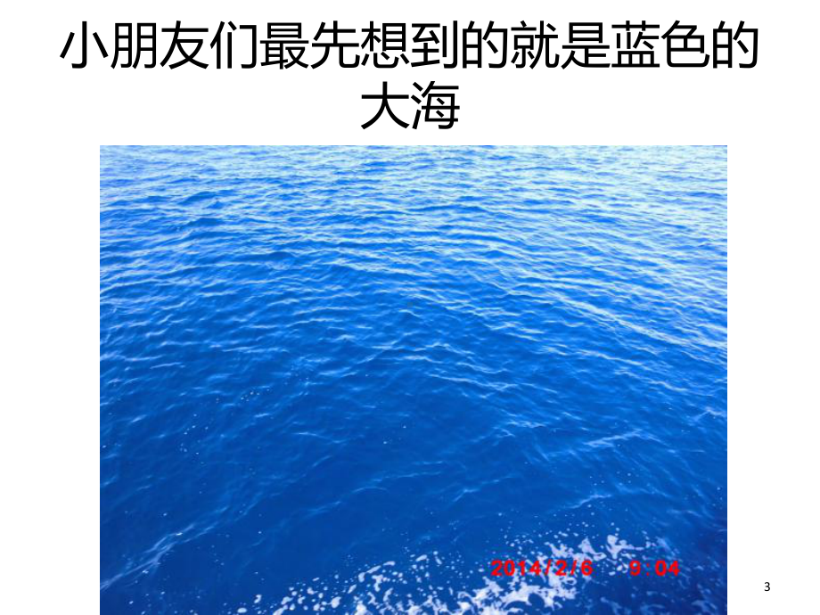 认识海洋生物PPT课件.ppt_第3页