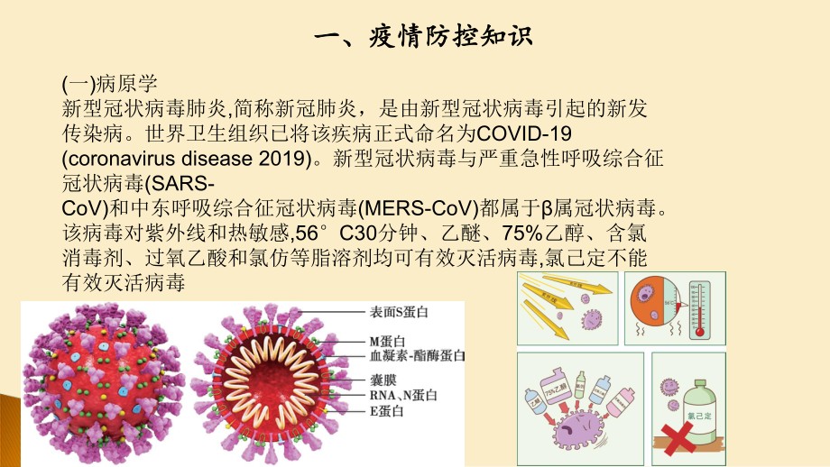 疫情防控知识技能培训-ppt课件.ppt_第3页