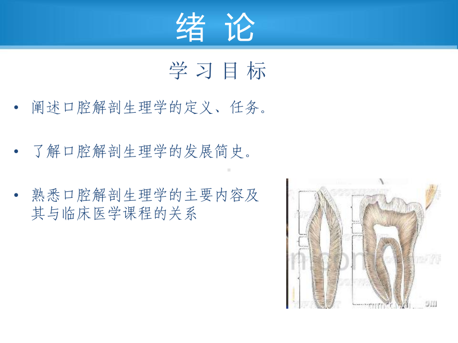 口腔解剖生理学第一章绪论-ppt课件.ppt_第2页