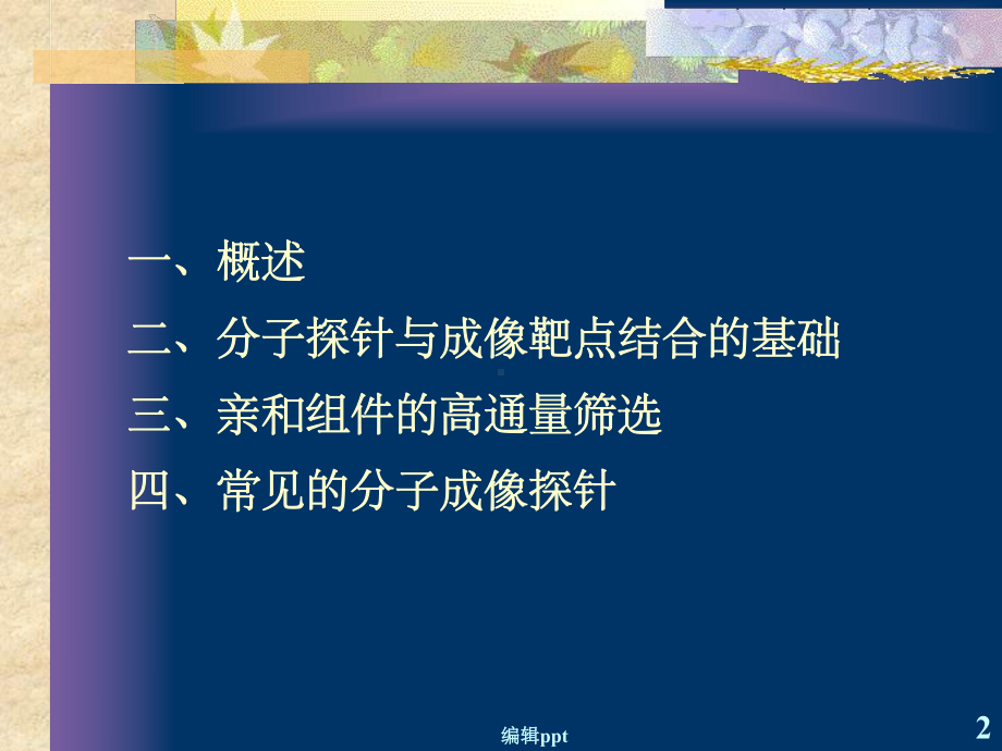 《分子成像探针》PPT课件.ppt_第2页