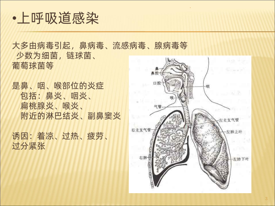 育婴师常见疾病PPT课件.ppt_第3页