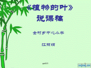 《植物的叶》说课稿-ppt课件.ppt