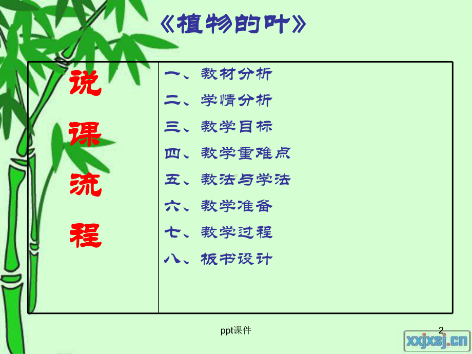 《植物的叶》说课稿-ppt课件.ppt_第2页