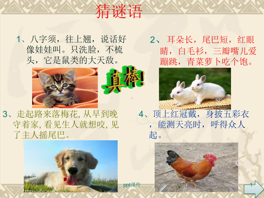 有关动物的作文-ppt课件.ppt_第1页