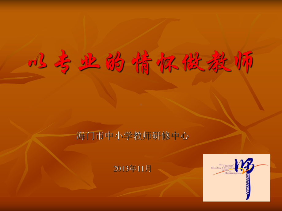 以专业的情怀做教师-ppt课件.ppt_第1页