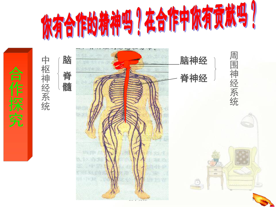 神经调节的基本方式-ppt课件(同名707).ppt_第1页