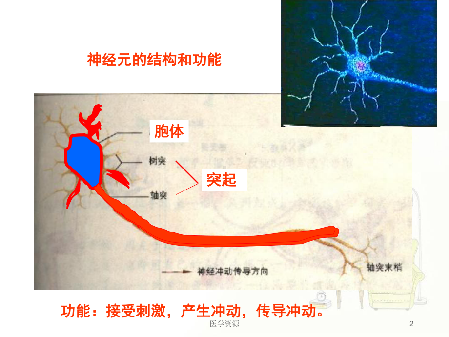 神经调节的基本方式-ppt课件(同名707).ppt_第2页