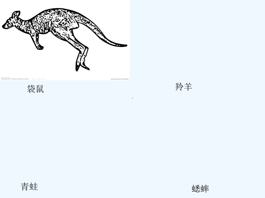 立定跳远教学课件-PPT.ppt_第2页