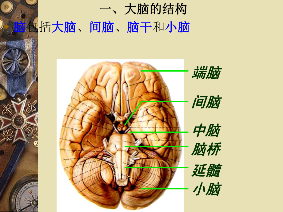 头颅影像解剖课件PPT.ppt_第2页