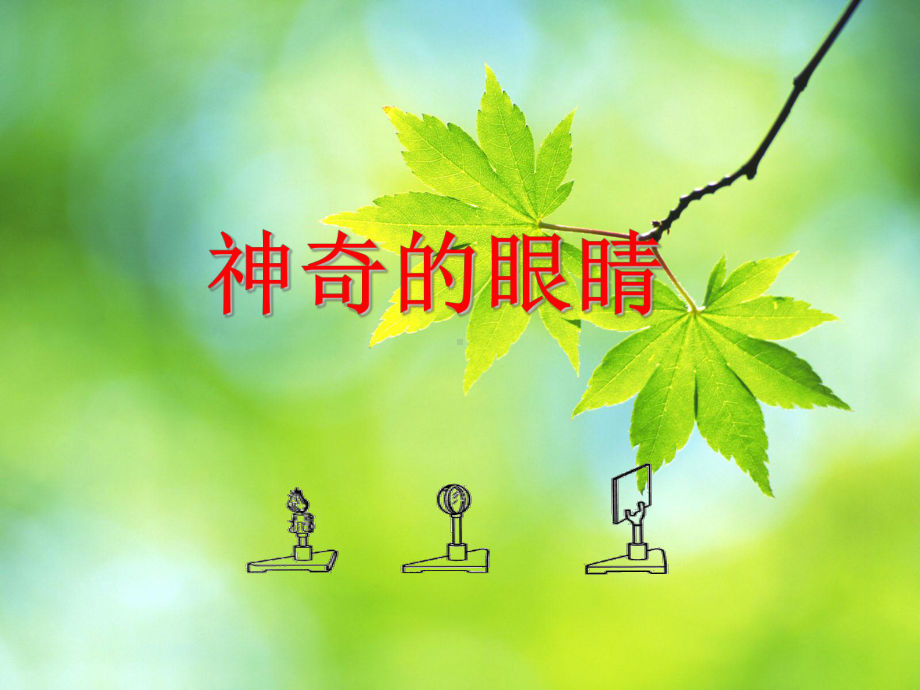 《神奇的眼睛》课件.ppt_第1页