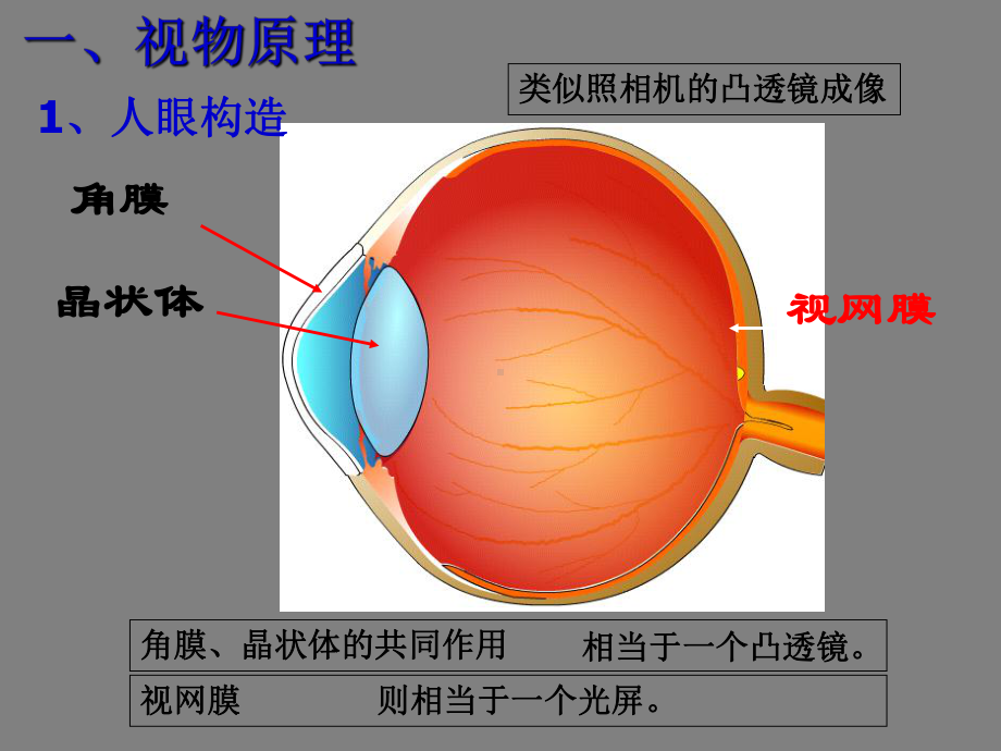 《神奇的眼睛》课件.ppt_第3页