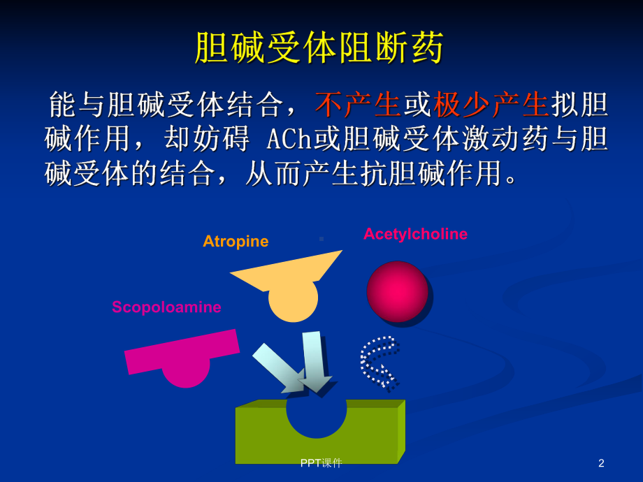 药理学-胆碱受体阻断药-ppt课件.ppt_第2页