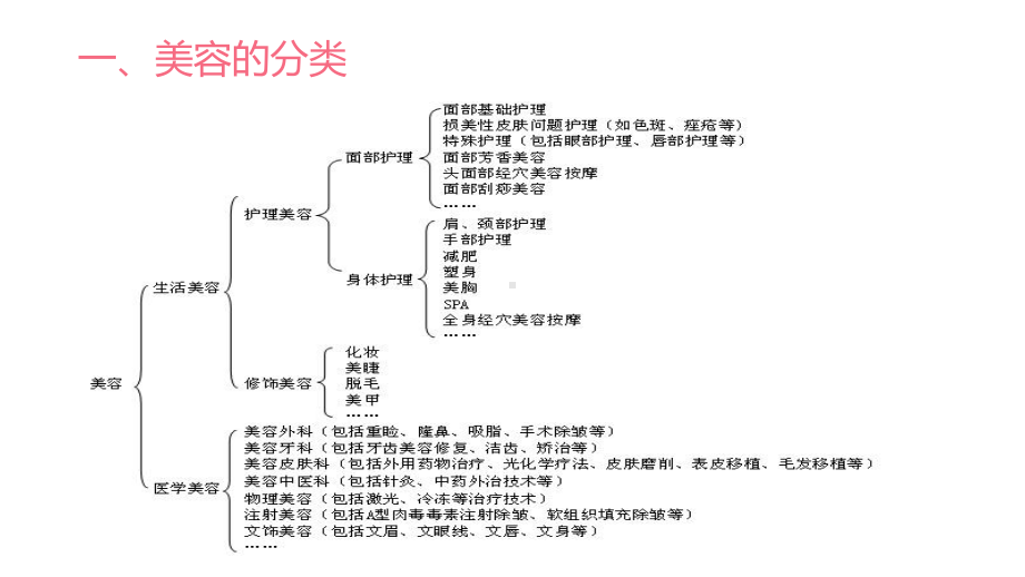 美容与养生PPT课件.ppt_第3页