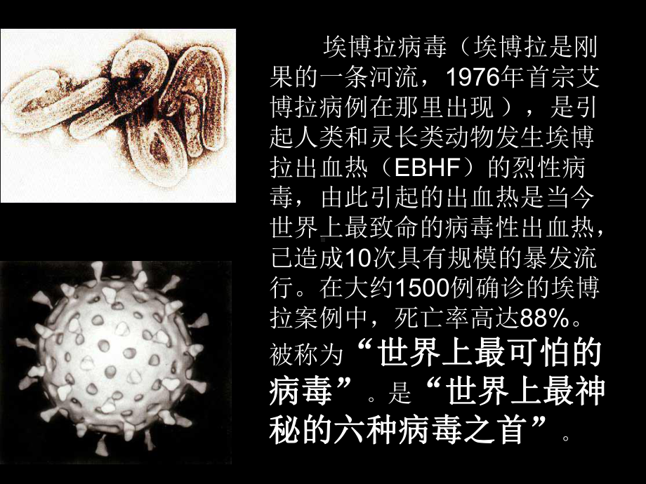 埃博拉病毒-ppt课件.ppt_第2页