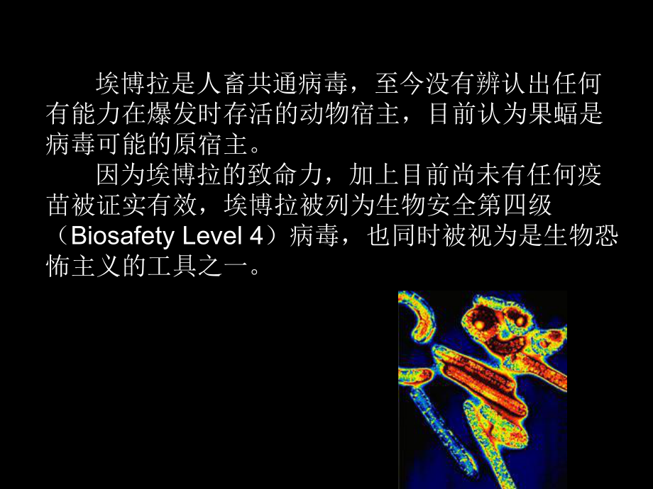 埃博拉病毒-ppt课件.ppt_第3页