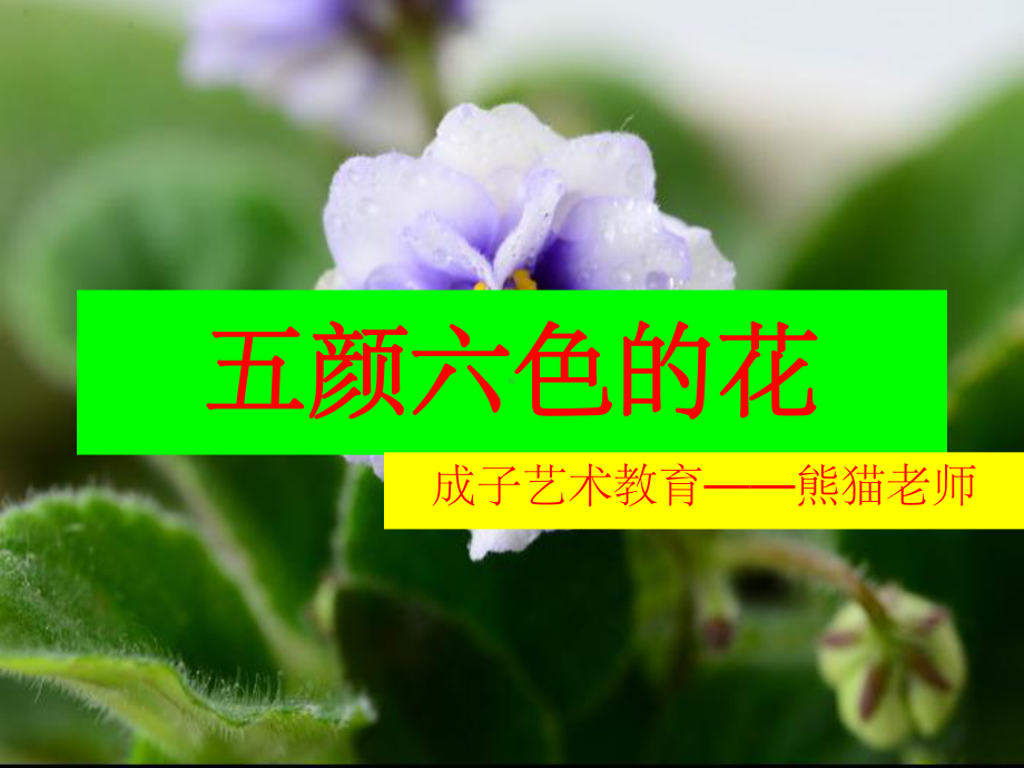 《五颜六色的花儿》PPT课件.ppt_第1页