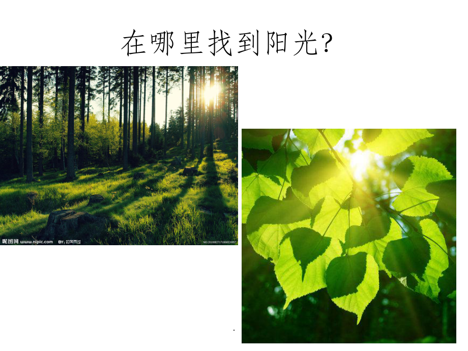 中班诗歌：阳光ppt课件.ppt_第3页