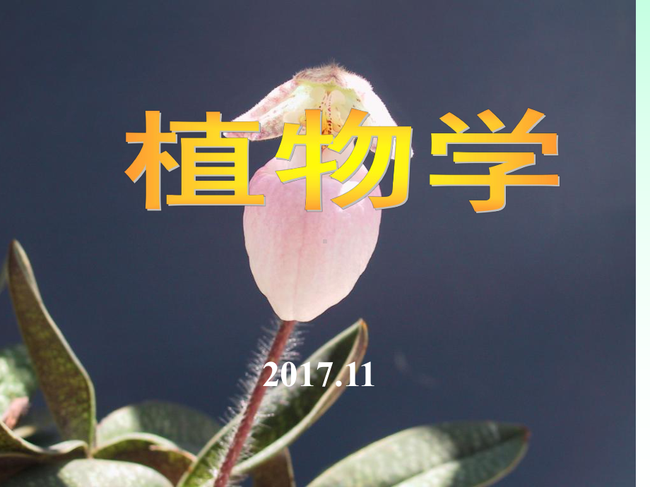 植物学-ppt课件.ppt_第1页