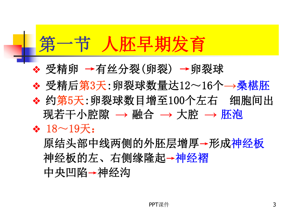 眼的胚胎发育-ppt课件.ppt_第3页