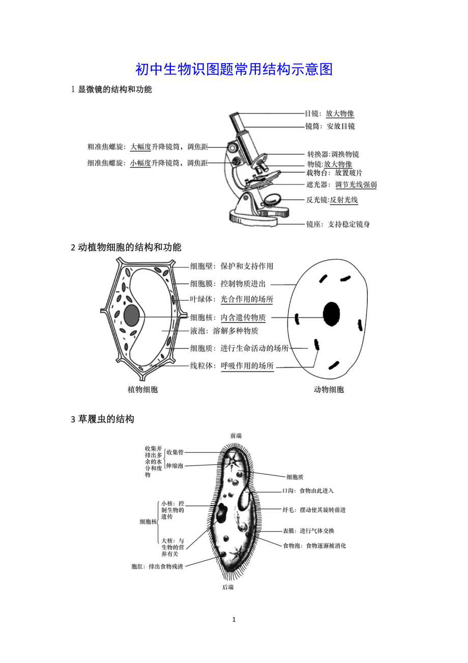 初中生物识图题常用结构示意图.docx_第1页