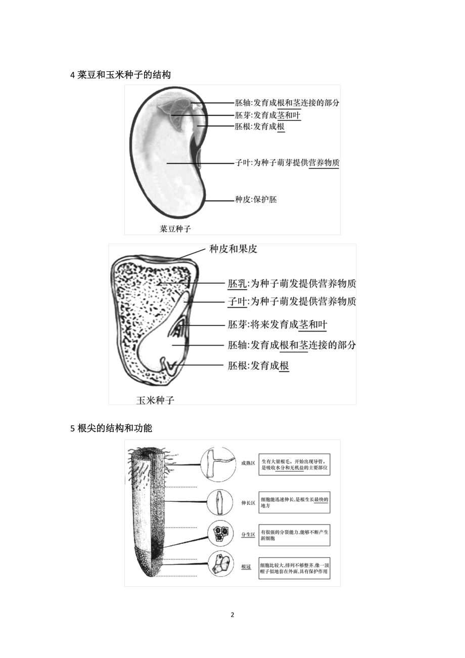 初中生物识图题常用结构示意图.docx_第2页