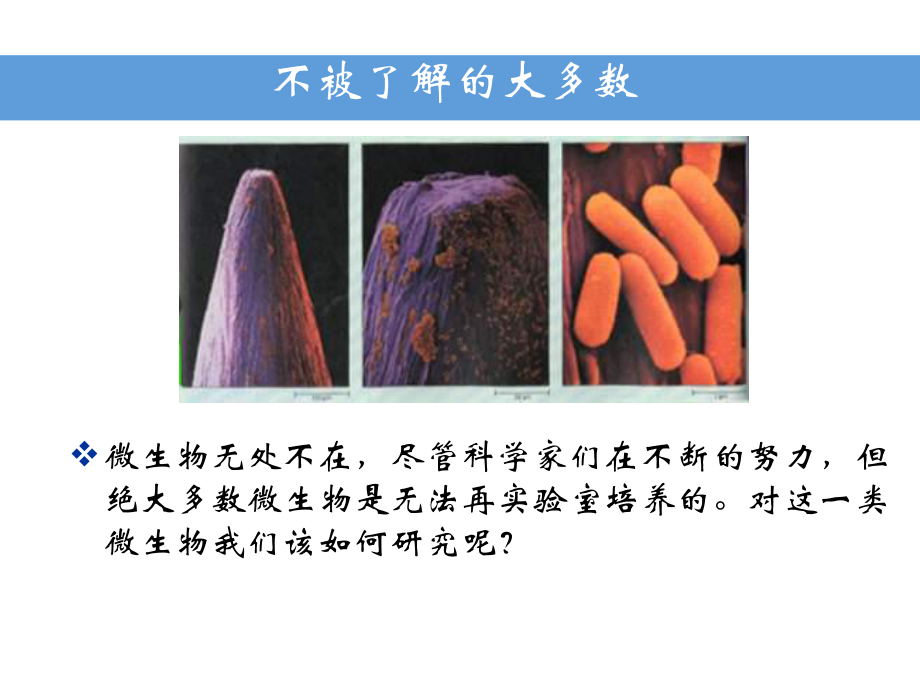 微生物的遗传和变异课件.pptx_第2页