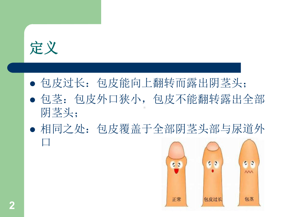 包皮环切术PPT课件(同名591).ppt_第2页