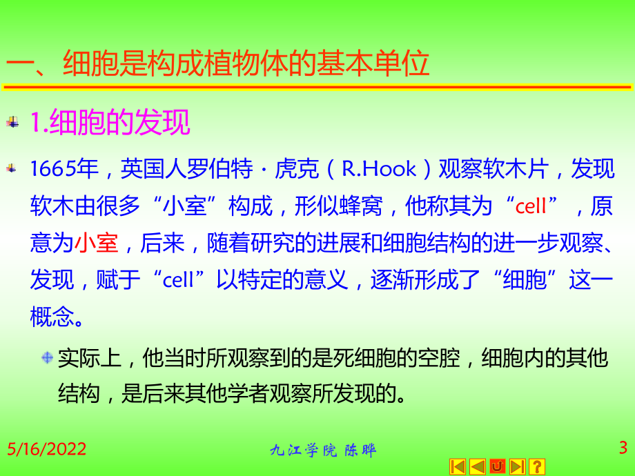 植物形态解剖学PPT课件.ppt_第3页