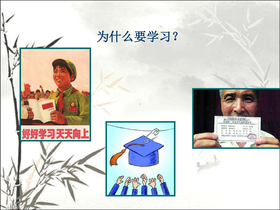 学习和动机-PPT课件.ppt_第2页