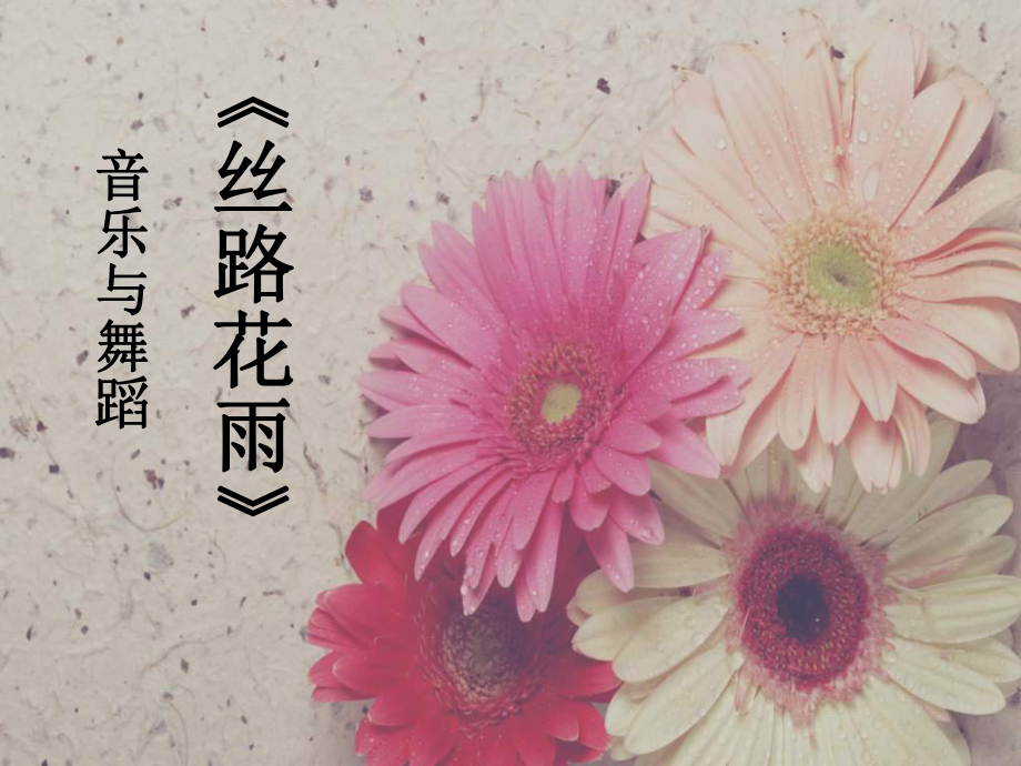 《丝路花雨》PPT课件(同名1380).pptx_第1页