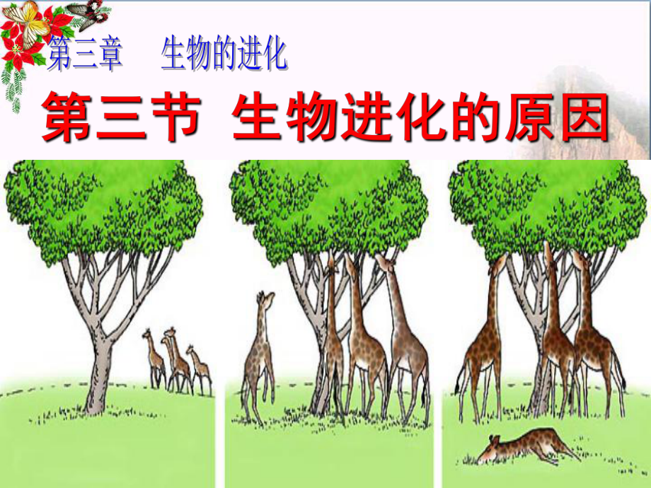 《生物进化的原因》生物的进化-精品PPT课件.ppt_第1页