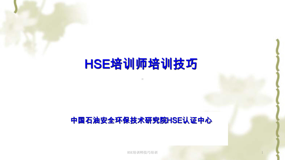 HSE培训师技巧培训ppt课件.ppt_第1页