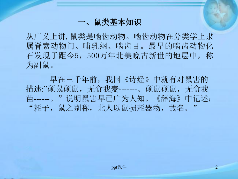 鼠类防治知识-ppt课件.ppt_第2页