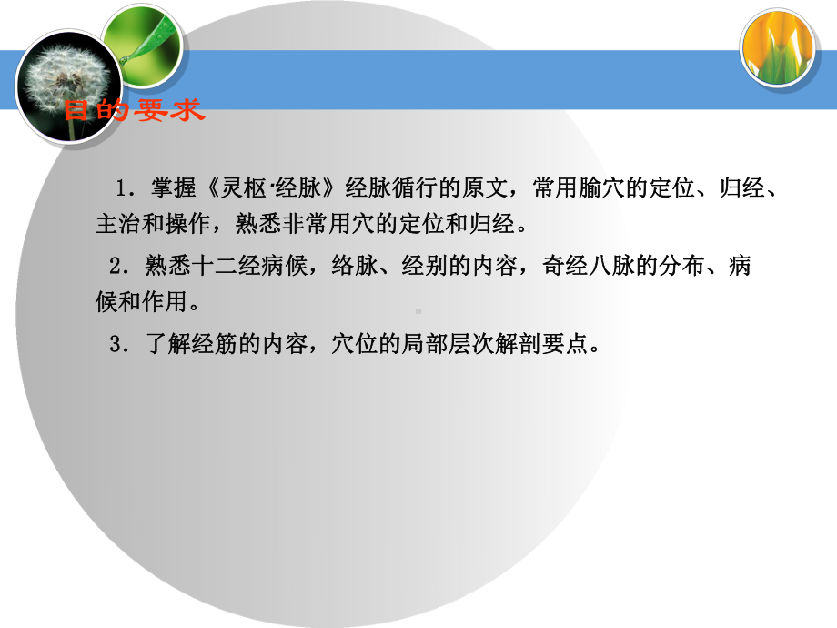 胃经课件.ppt_第2页