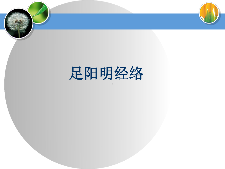 胃经课件.ppt_第3页