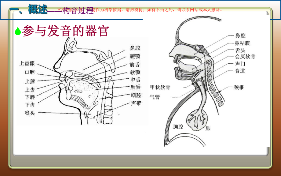 构音障碍专题知识课件.ppt_第3页