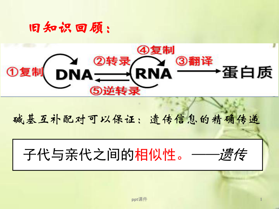 基因突变和基因重组(公开课)-ppt课件.ppt_第1页