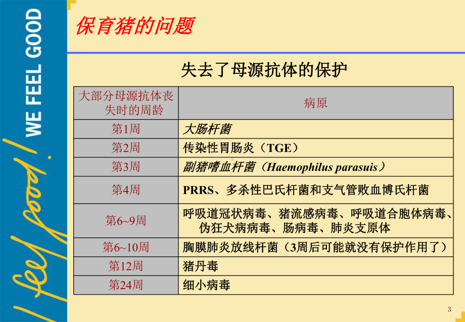 保育猪的问题演示精品PPT课件.pptx_第3页