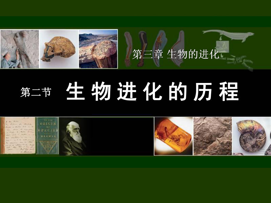 《生物进化的历程》生物的进化PPT优秀课件.ppt_第1页