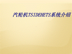 汽轮机TSIDEHETS系统介绍专题培训课件.ppt