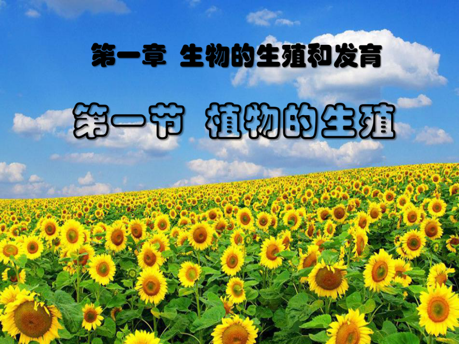 《植物的生殖》生物的生殖和发育PPT课件3.ppt_第1页