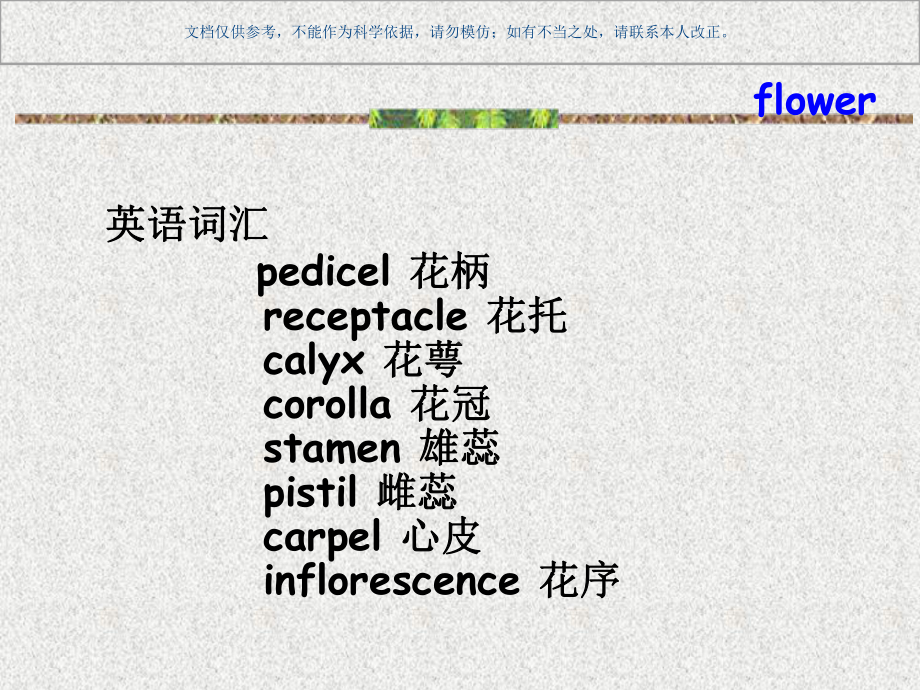 植物的器官花课件.ppt_第2页